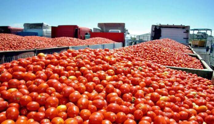 Estados Unidos aplica arancel del 17.09% al jitomate mexicano