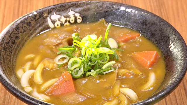 カレーうどん (小) 460円+税