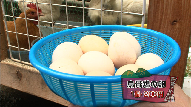 鳥骨鶏の卵1個200円