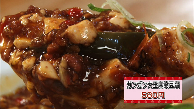 ガンガン大王麻婆豆腐580円