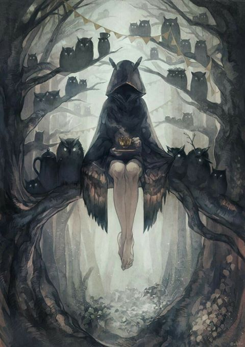 The Owl