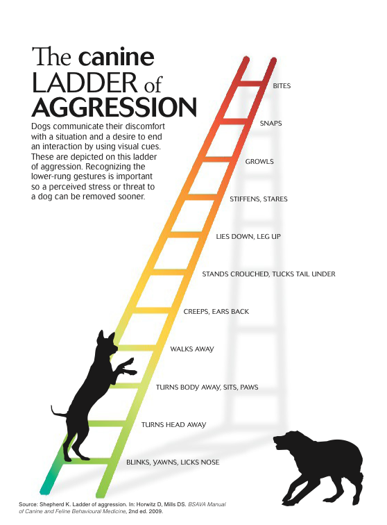 Ladder Aggression Revised.fw