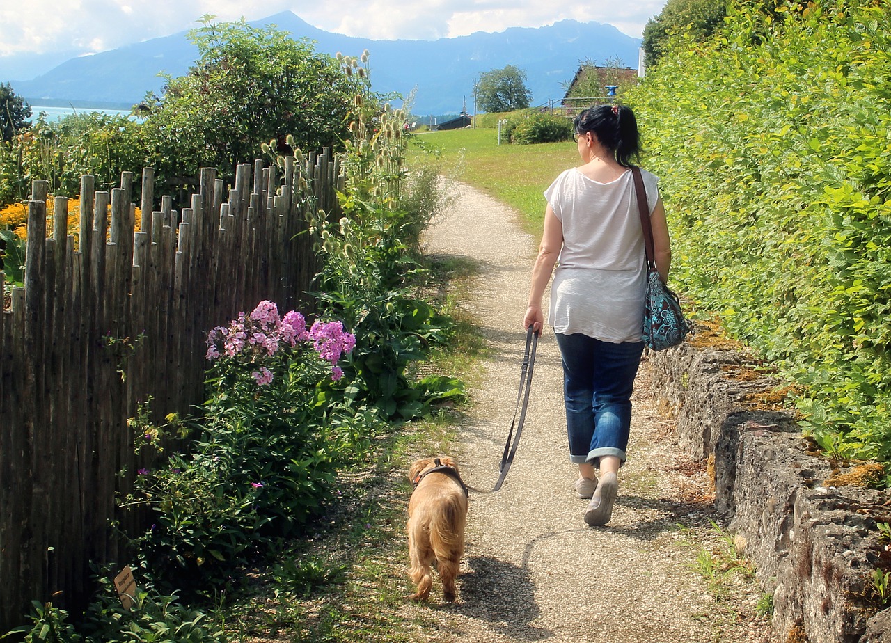 woman dog walk