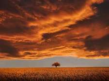 Sky