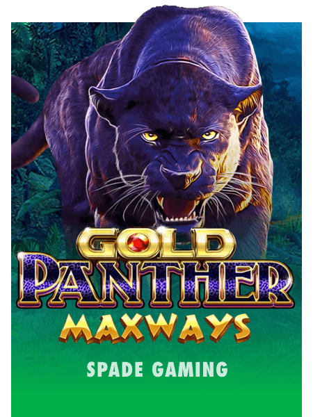 Gold Panther Maxway