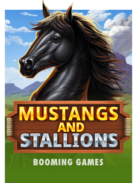 Mustangs and Stallions