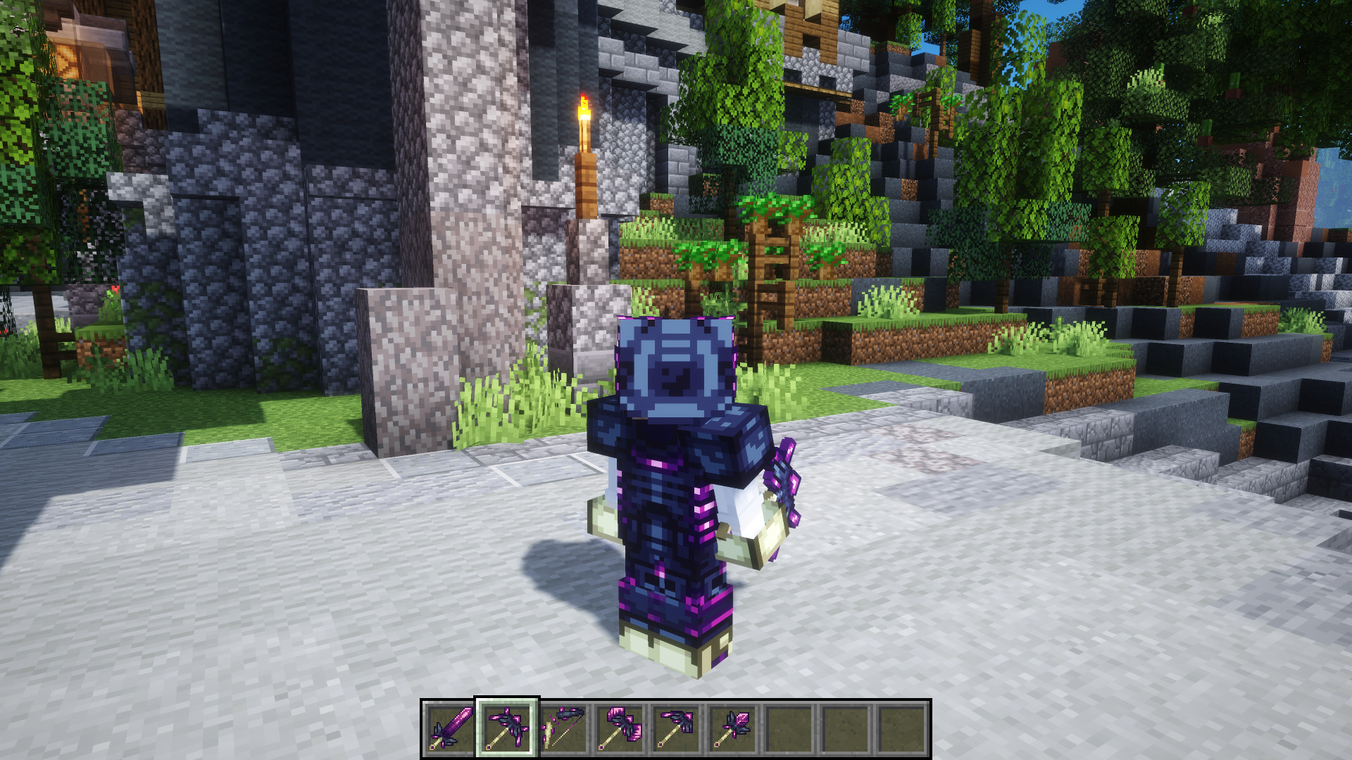 Ender Dragon Set