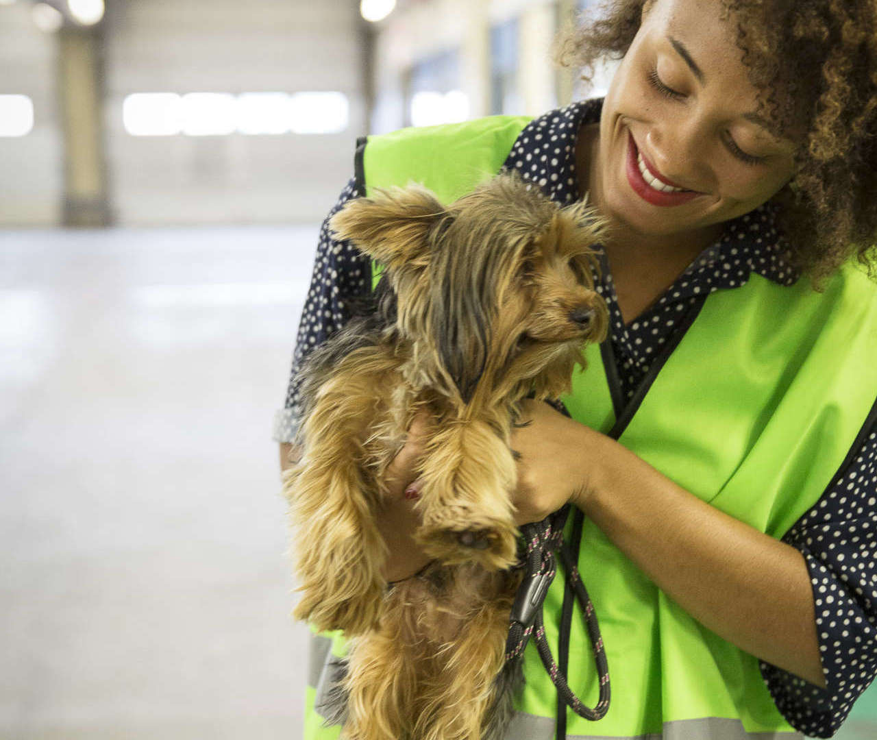 are dogs allowed in airport kennels