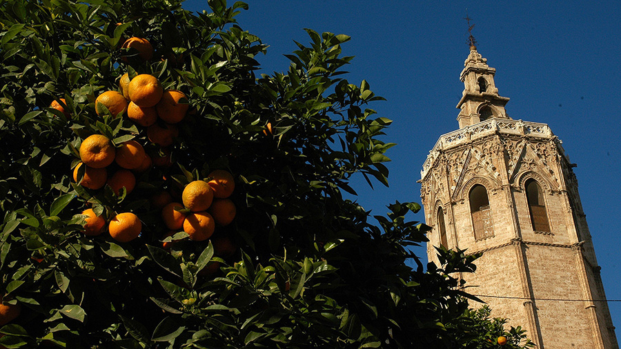 orange travel spain