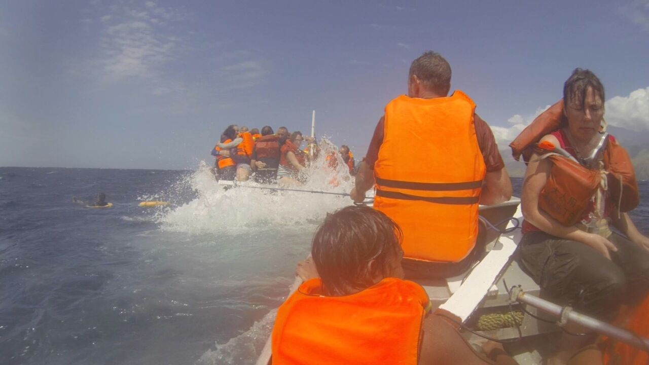 How I Survived a Shipwreck