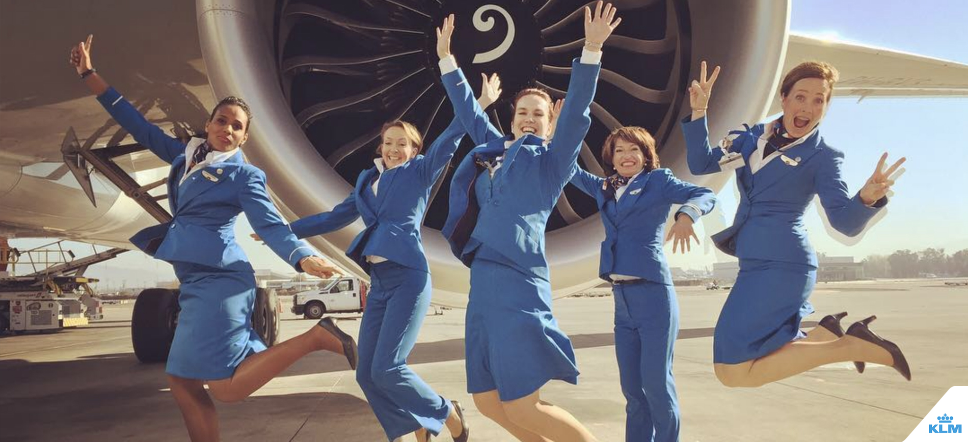 10 grunde til, at steward stewardesse er bedste job verden