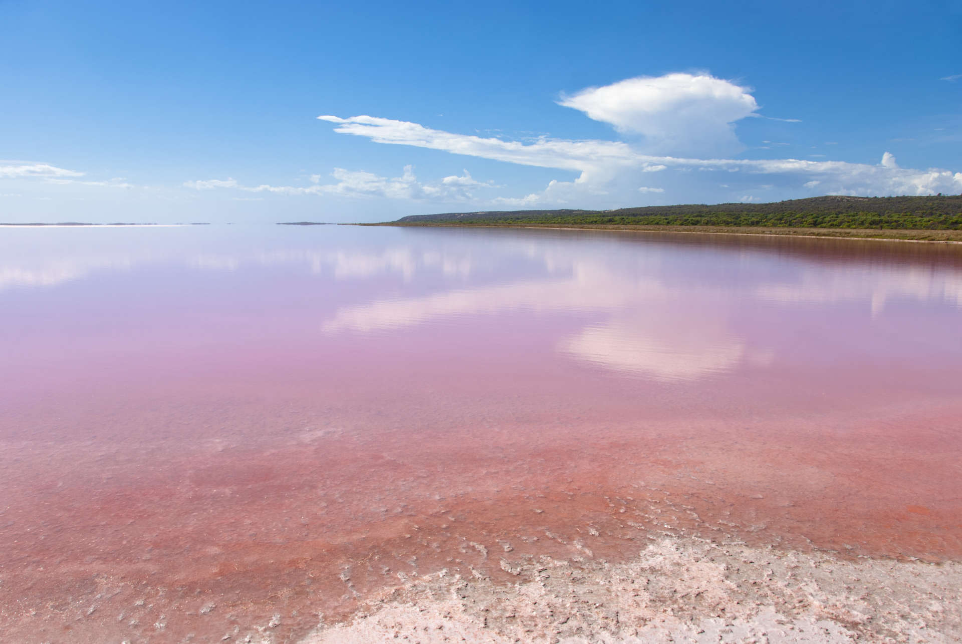 Discovery Why Australia Has Bubblegum Pink Lakes, Latest Science News and  Articles