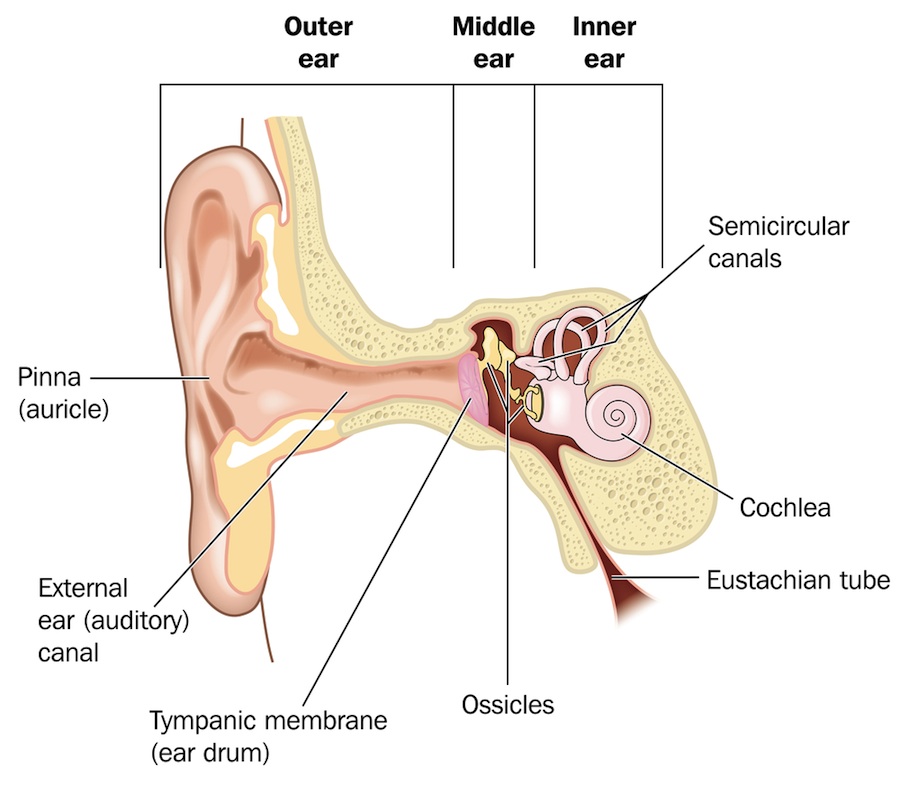 What Happens To Your Ears During A Flight