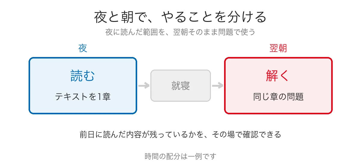 夜は読む・翌朝は同じ範囲を解くという役割分担を示した図
