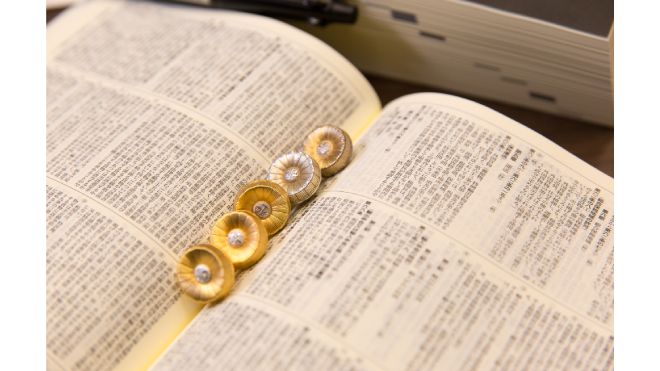憲法の私人間効力とは?わかりやすく解説します! - 行政書士の 憲法の私人間効力とは?わかりやすく解説します! - 行政書士の