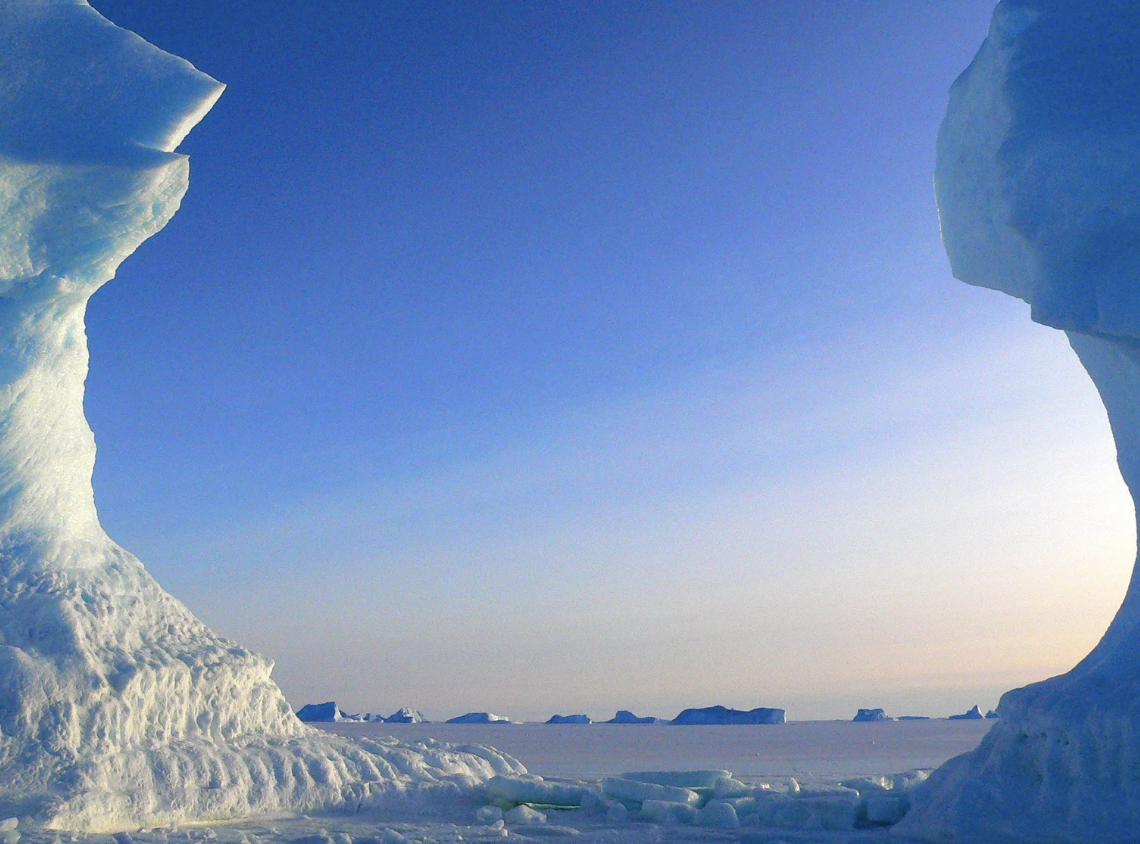 Cover Image for 30 años después, el iceberg más grande del mundo se libera: un peligro para la vida marina.