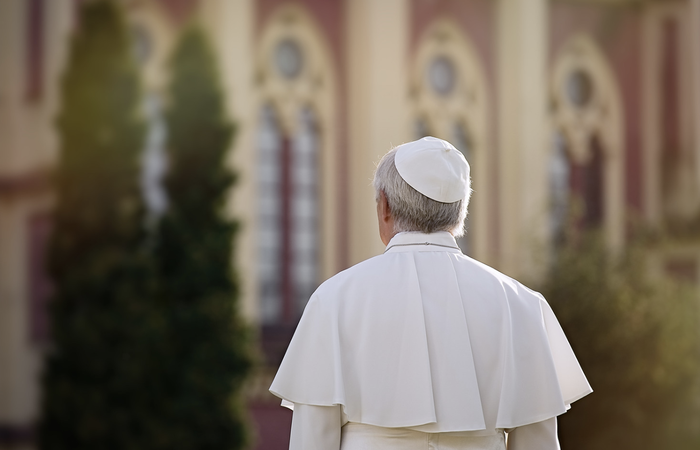 Cover Image for En defensa del pedido del Papa Francisco de prohibir a nivel mundial la maternidad subrogada: una seria violación a la dignidad.