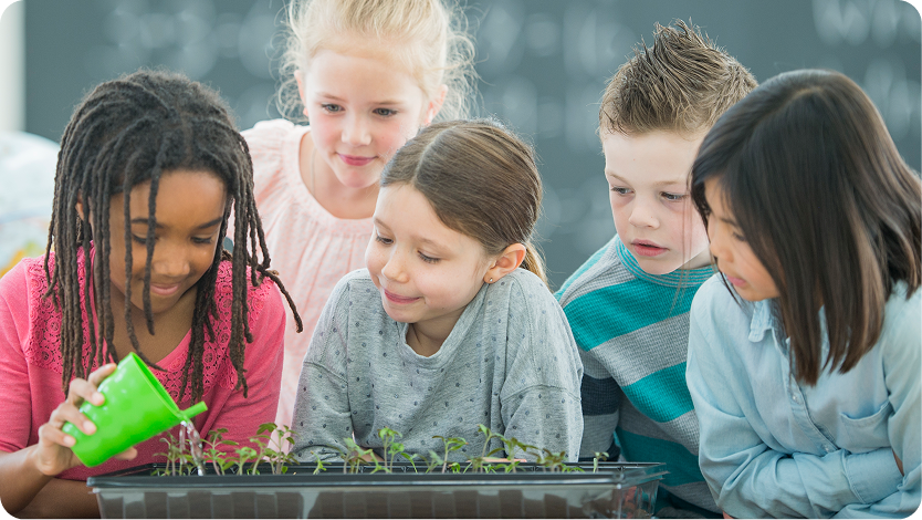 Group of elementary age school children watering a small garden