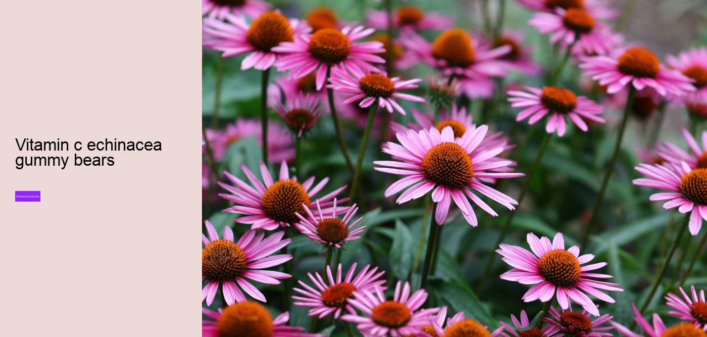 elderberry gummies with echinacea