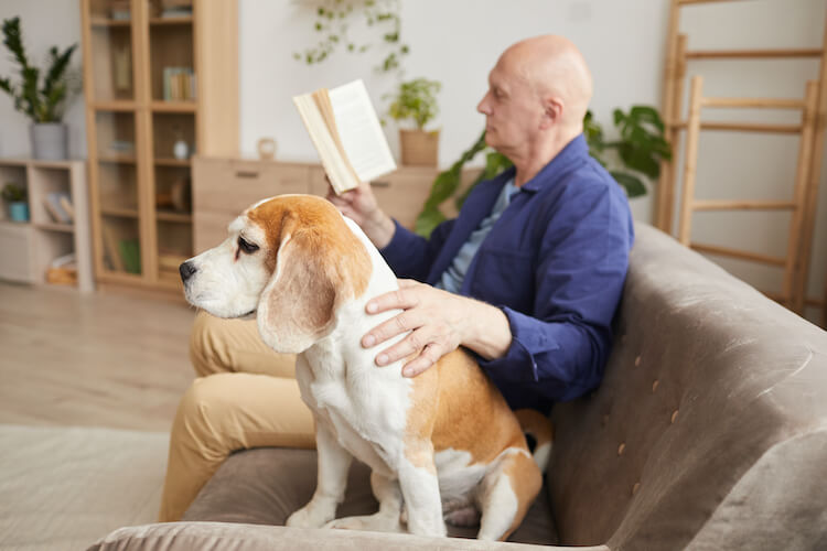 A senior man enjoys a book while petting his dog.