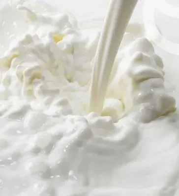 Dairy sector