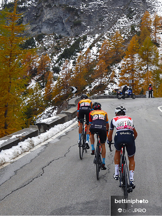 Vincenzo Nibali, Stelvio. GIro d'Italia 2020