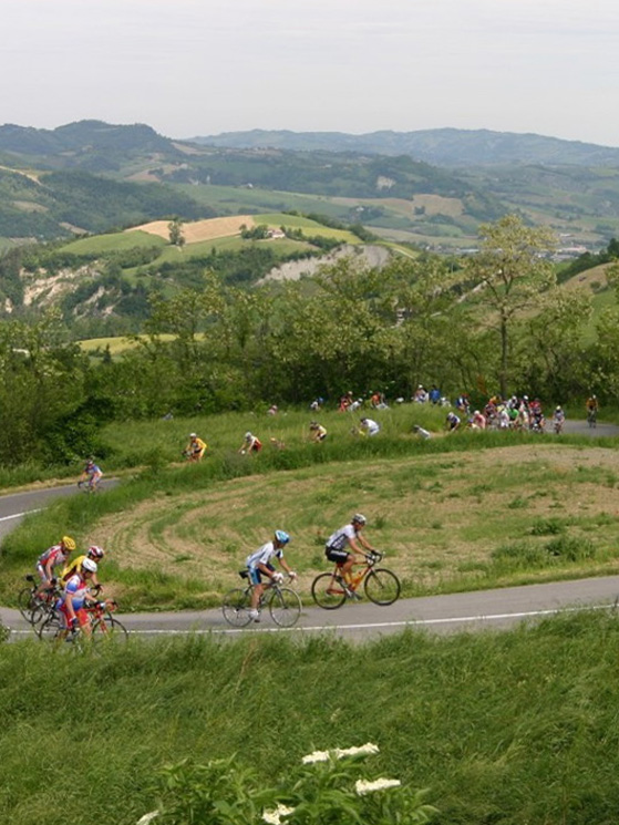 Cicloturismo Romagna