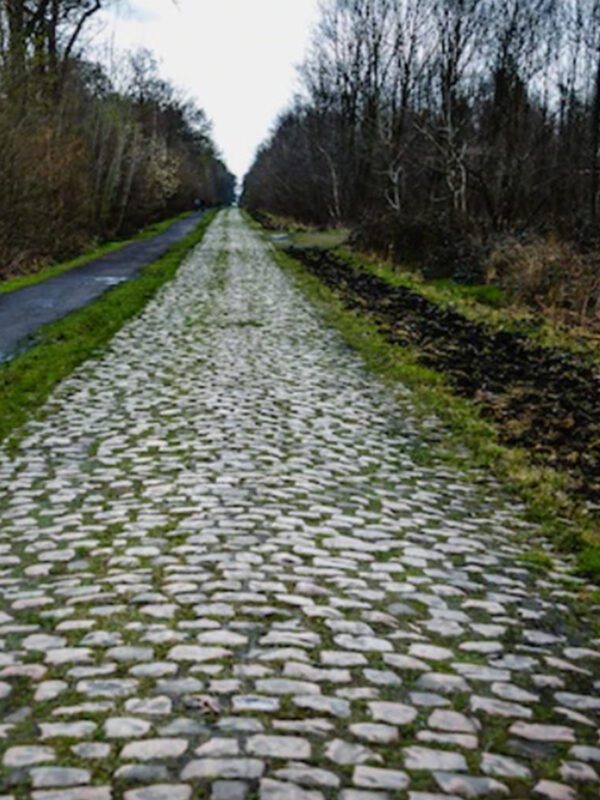 Arenberg 2022