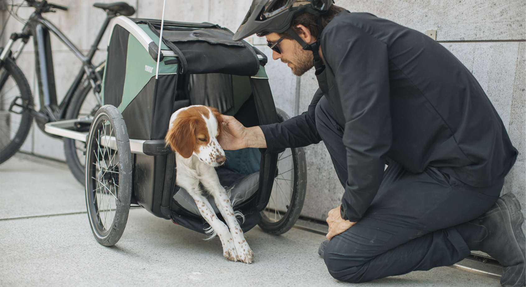 Wanderpfote – Supporto Per Trasporto Cane Leggero E Robusto | Ideale Per Cani Anziani, Feriti O Escursioni