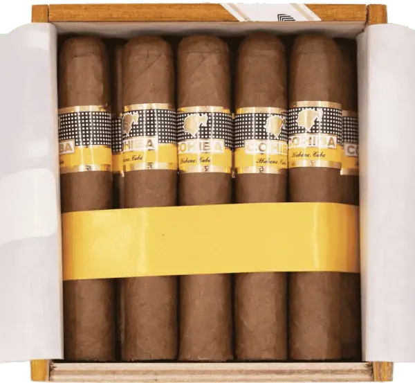 Cohiba cigars guide