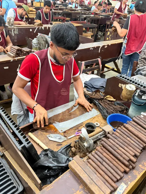 How cigars are made guide