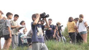 Avistaje de aves en campos agrícolas