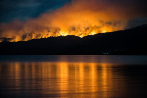 Incendios forestales en los bosques patagónicos. Imágen del Parque Nacional los Alerces