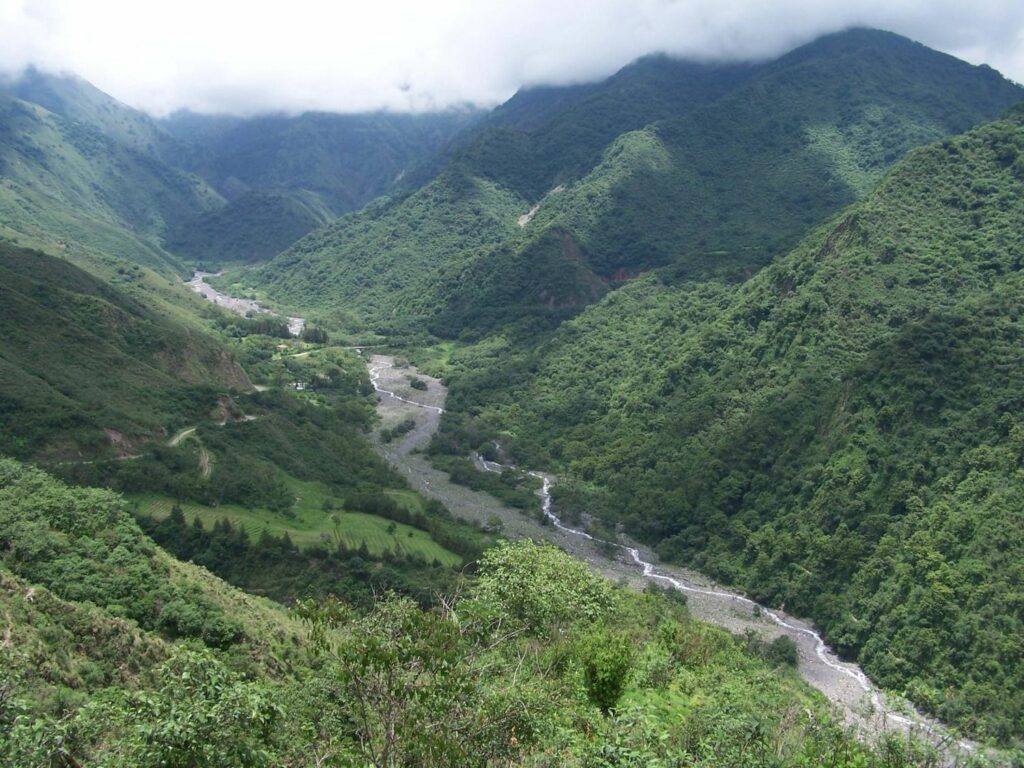 Bosque nativo de Jujuy