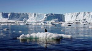 ice meltwater