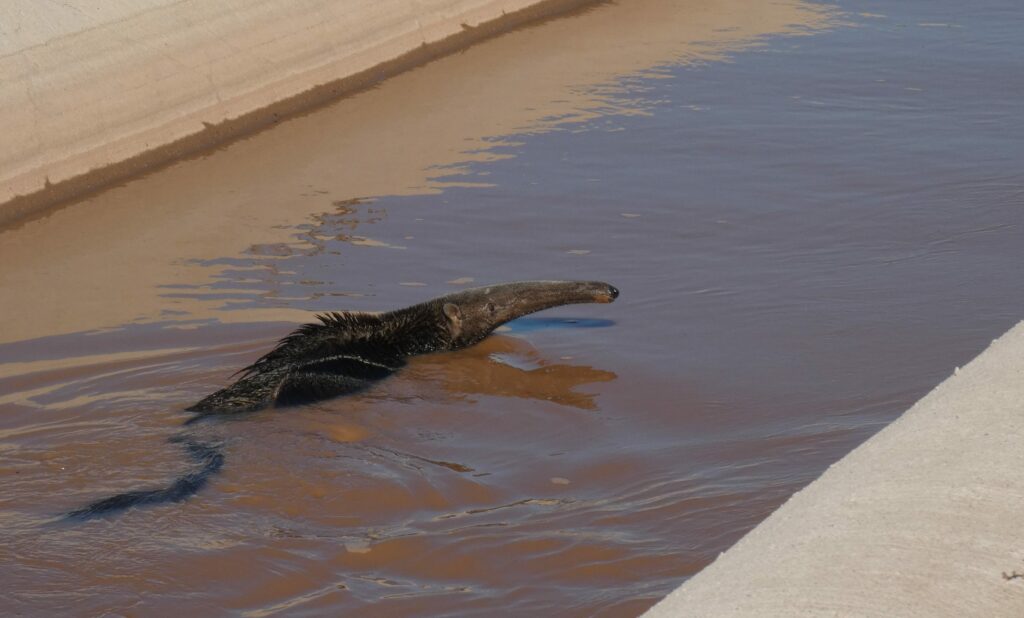 Canales-de-agua