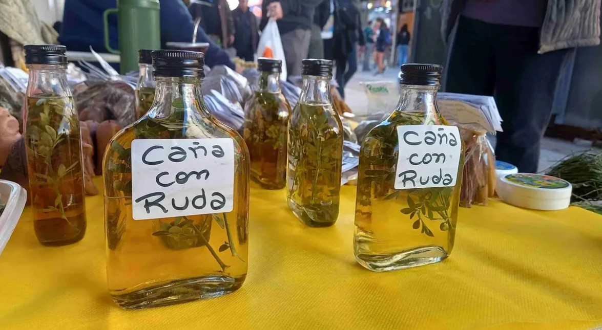 Caña con ruda