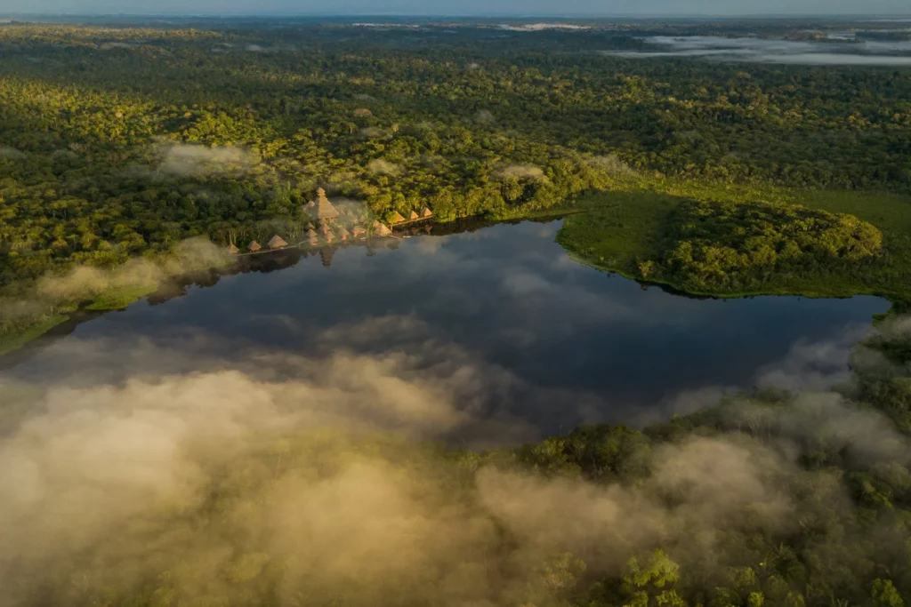 proteger el ambiente