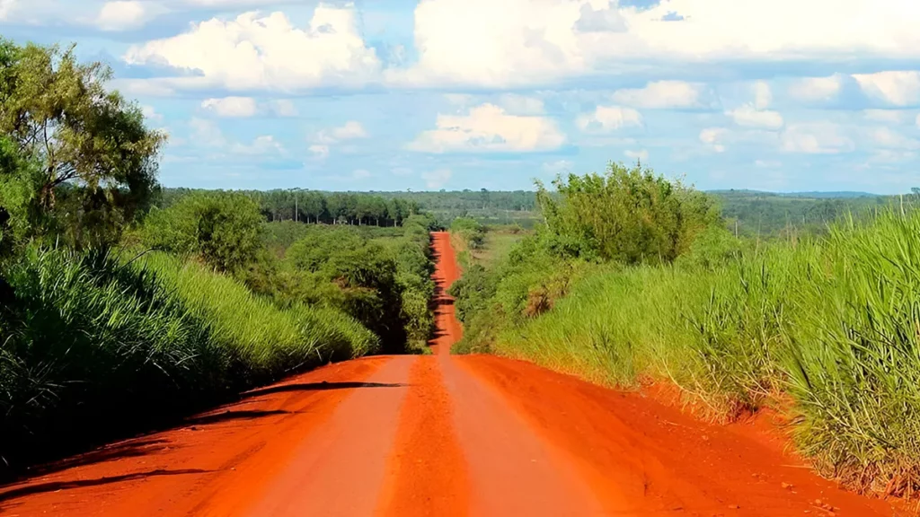 selva misionera