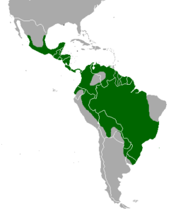 El mapa muestra la zona de distribución de la especie