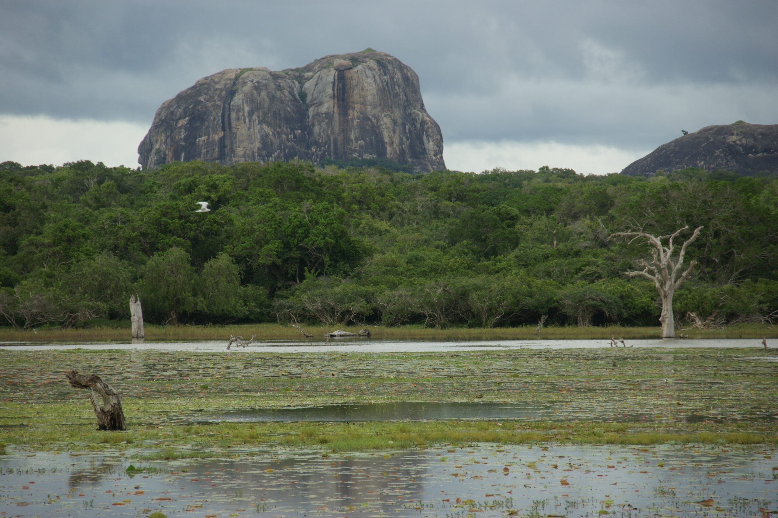 Parque nacional de Yala
