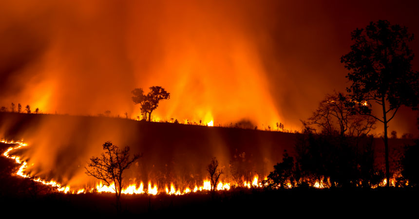 alerta ambiental en Bolivia