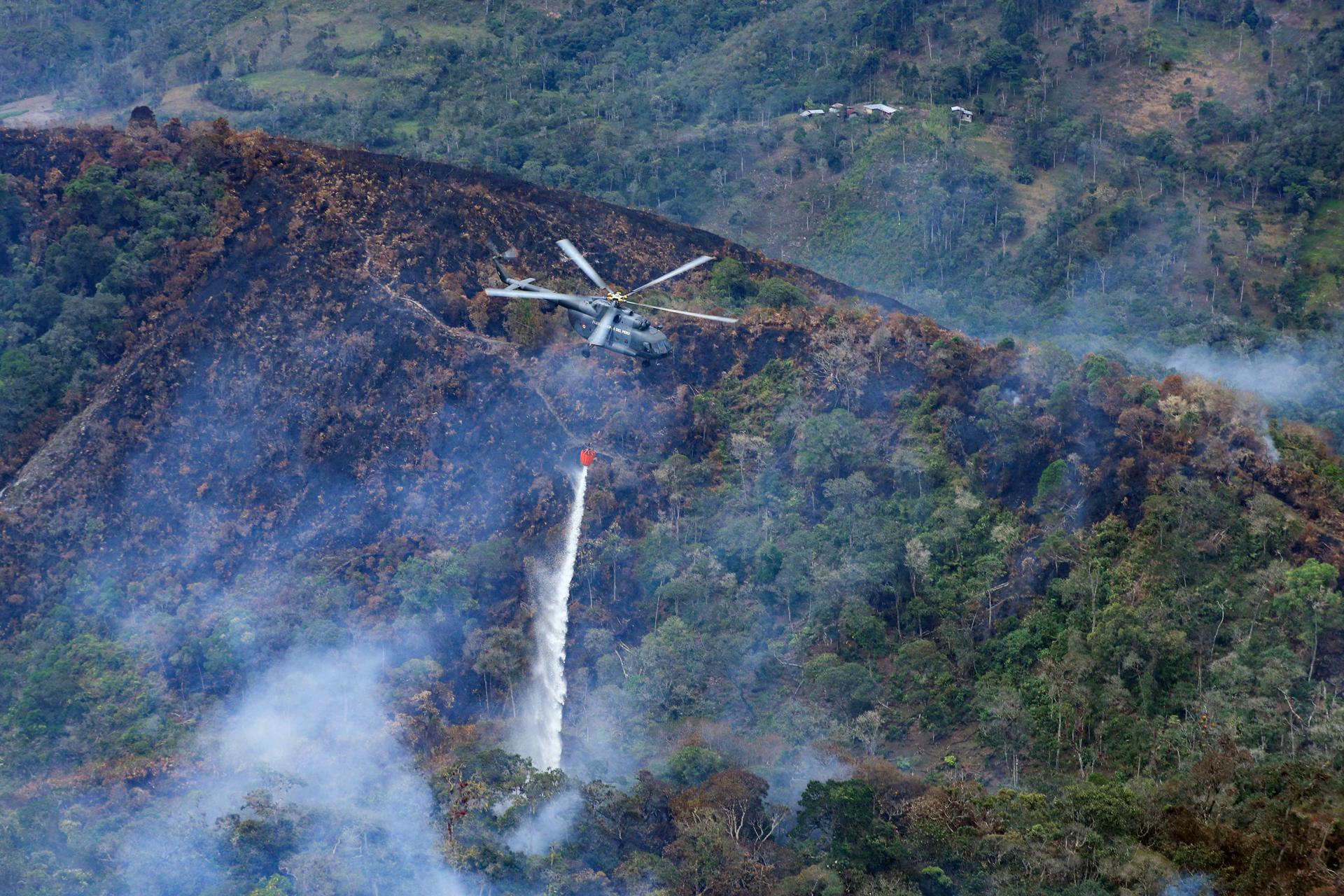 Los incendios en 2024 batieron récord.