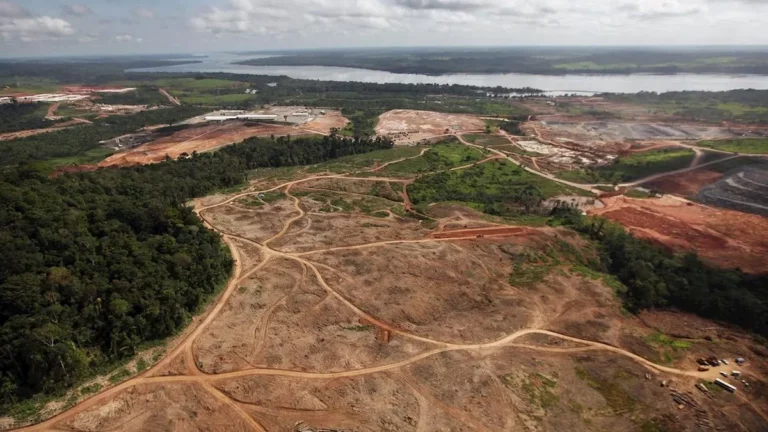 Haití: implementan un plan de reforestación