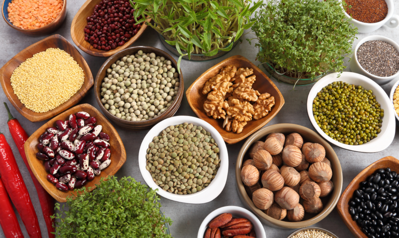 plant-based proteins