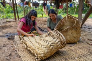 Indigenous peoples' rights
