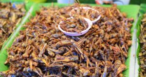 Consumo de insectos