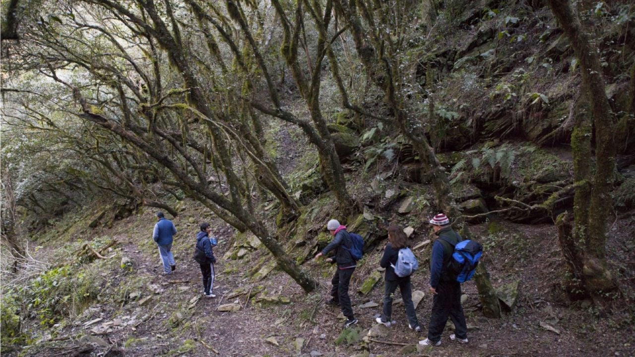 hiking