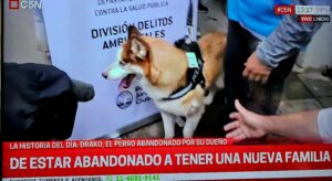 Operativo de rescate