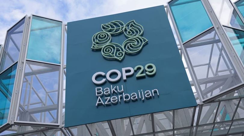 COP29